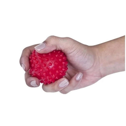 KIT Fortalecedor de Mão e Antibraço HandGrip + Bolinha Fisio