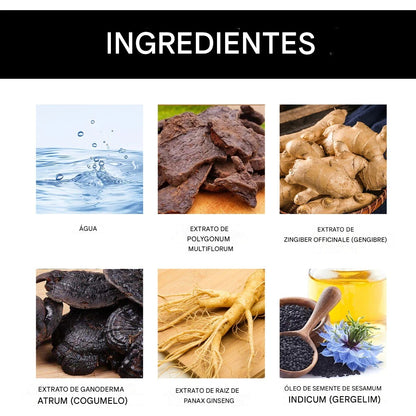 Shampoo Escurecimento Capilar